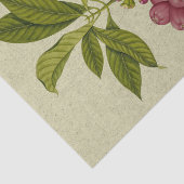 Roos Echte botanische druk Tissuepapier (Detail)