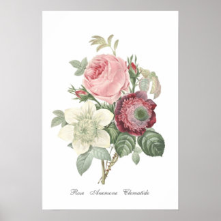 Roos en Anemone Poster