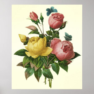 Roos en Butterfly Bouquet, Pierre Redoute Poster