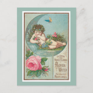 Roos en Cherub Florida Waters Briefkaart