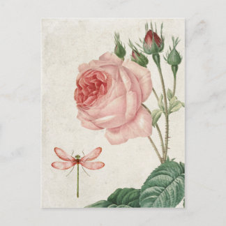 Roos en dragonfly Briefkaart
