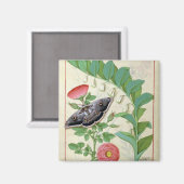 Roos en polygonatum magneet (Voorkant / Achterkant)