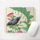 Roos en polygonatum muismat (Met muis)