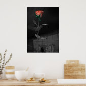 Roos en reflectie, Las Vegas Poster (Keuken)