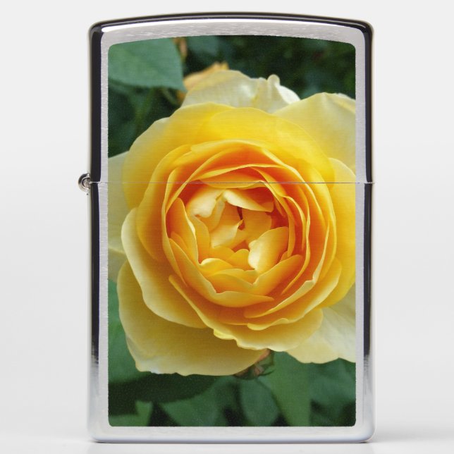roos en rosebud (Voorkant)