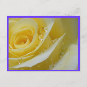 roos en watervallen briefkaart