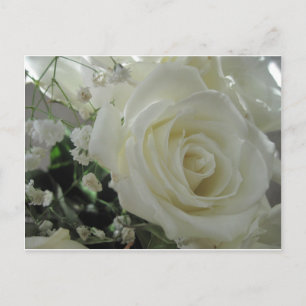 Roos Floral Briefkaart