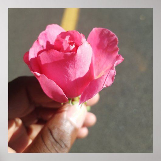 Roos Flower Poster (Voorkant)