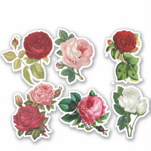  Roos Flowers Bouquets Sticker (Voorkant)