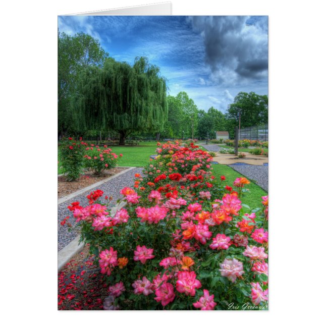 Roos Garden (Voorkant)