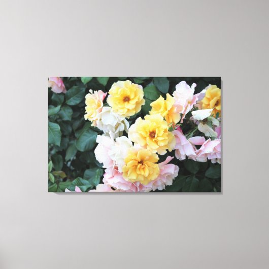 Roos Garden Pastels Canvas Afdruk (Voorkant)