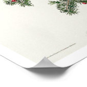 Roos-gebrande Grosbeak van het Poster van Audubon (Hoek)