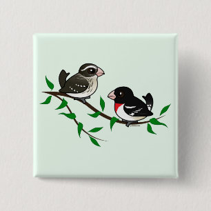 Roos-gekruiste Grosbeak Couple Vierkante Button 5,1 Cm