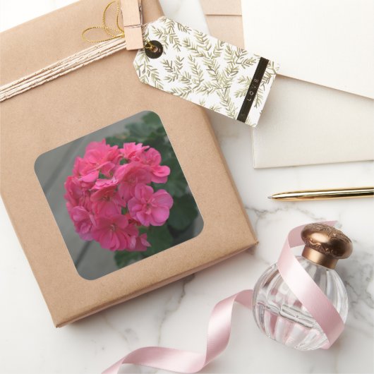 Roos Geranium Flower Vierkante Sticker (Geschenken)