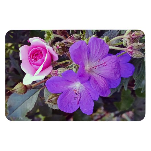 Roos & Geranium Grote gepersonaliseerde fotomagnee Magneet (Horizontaal)