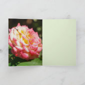 Roos Glory Kaart (Binnen)