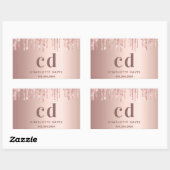 Roos Gold Blush Druppels Naam Rechthoekige Sticker (Vel)