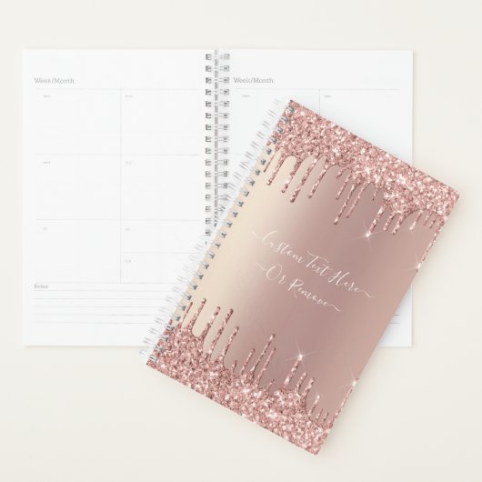 Roos Gold Blush glitter Sparkle Drift Custom Text Planner (Display)