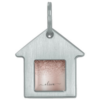 Roos Gold - Blush Pink Glitter Metal Monogram Naam Huisdieren Naamplaatje