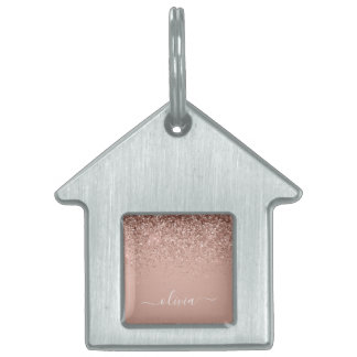 Roos Gold Blush Roze Glitter Script Monogram Girly Huisdieren Naamplaatje