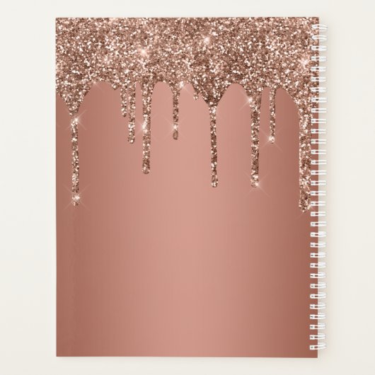 Roos Gold Glitter Sparkle Drip Monogram Naam Planner (Achterkant)