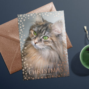 Roos Gold Meowy-kerstklep Folie Feestdagenkaart