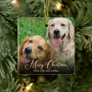 Roos Gold Pet Photo Merry Kerstscript Keramisch Ornament