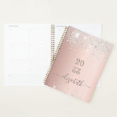 Roos Gold Silver Blush Glitter Monogram 2025 Planner (Display)