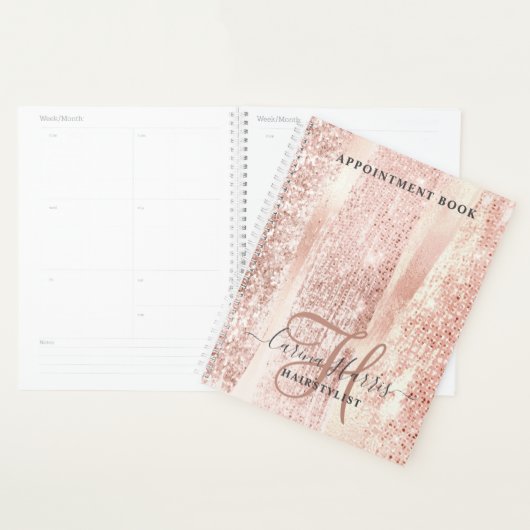 Roos Gold Strokes Haarstylist Appointment Book Planner (Display)