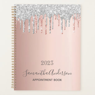 Roos Goud Zilver Glitter Afspraakboek Planner