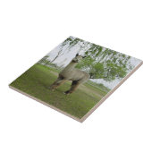 Roos Gray Alpaca Tegel Tegeltje (Zijkant)