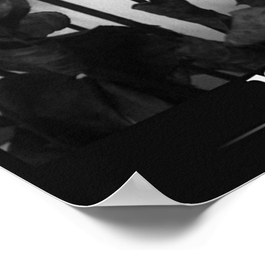 roos [grens] poster (Hoek)