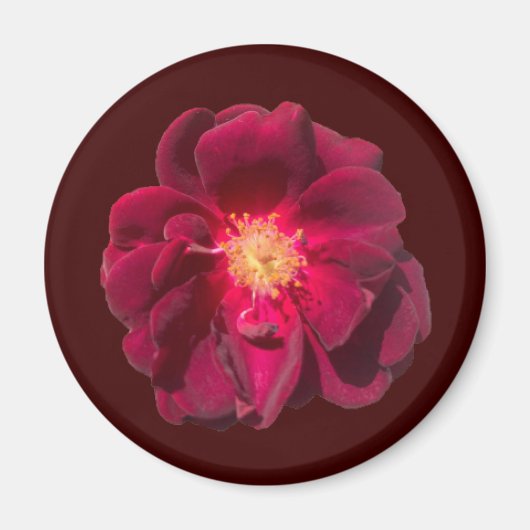 ROOS H MAGNEET (Voorkant)