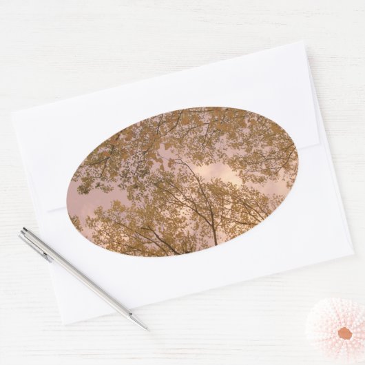 "Roos herfst" Stickers (Envelop)