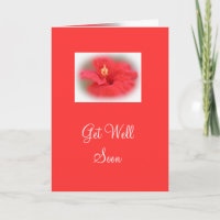 Roos Hibiscus Get Well Kaart