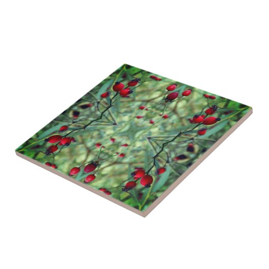 Roos hip Abstract Fotografie Foto Tegel Tegeltje (Zijkant)