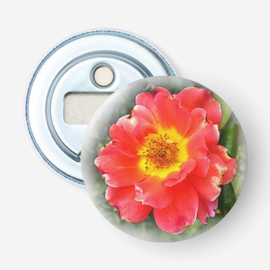 Roos in de herfst button flesopener (Voorkant)