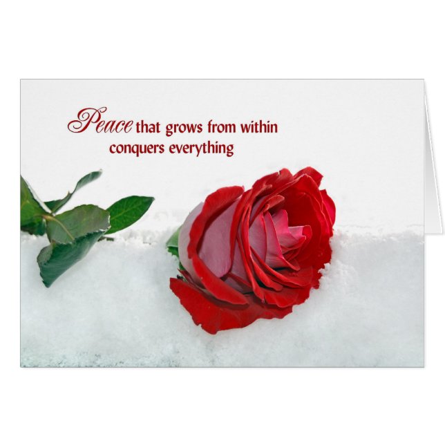 Roos in de winter (Voorkant Horizontaal)