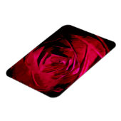 Roos in duisternis - Abstract impressionisme Magneet (Linkerzijde)