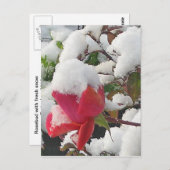 Roos januari 2012 Briefkaart (Voorkant / Achterkant)