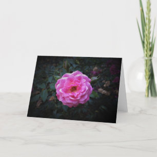 Roos, kaart