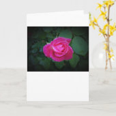 Roos, kaart (Gele Bloem)