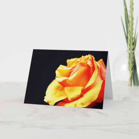 Roos Kaart (Voorkant)