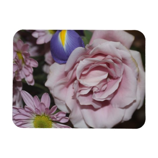 Roos lavender magneet (Horizontaal)