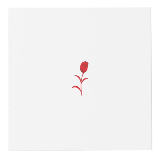 Roos Madder, Lava Red, bloemontwerp Kubus (Voorkant)