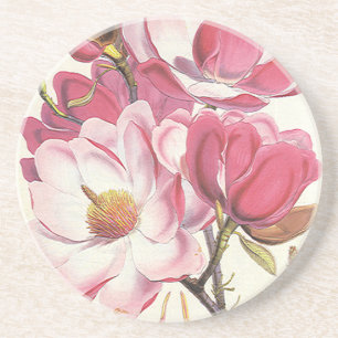 Roos Magnolia Boom Bloesem, Roze Tuin Bloemen Zandsteen Onderzetter