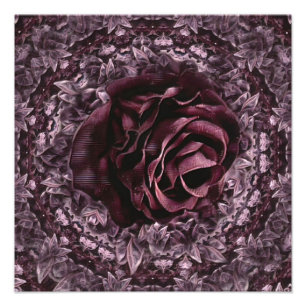 Roos Mandala Foto Afdruk