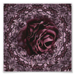 Roos Mandala Foto Afdruk