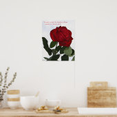 Roos met cardanbes Poster 16x20 ROOS & PROSE (Keuken)