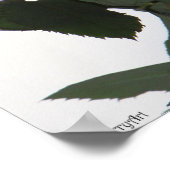 Roos met cardanbes Poster 16x20 ROOS & PROSE (Hoek)